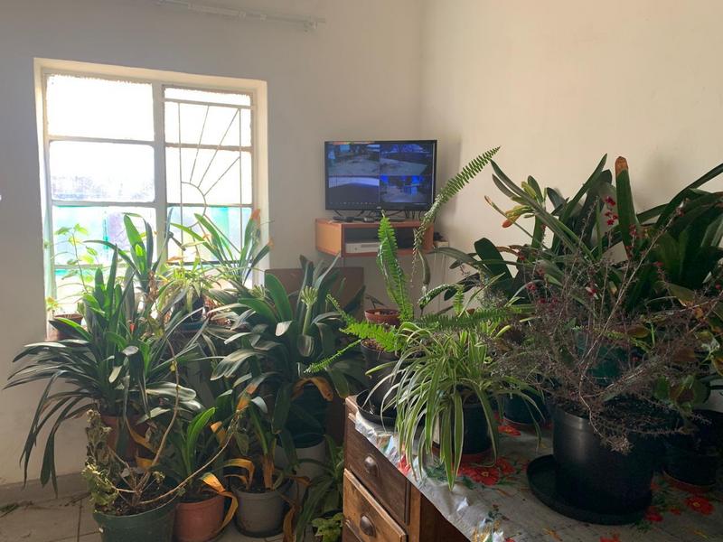3 Bedroom Property for Sale in Shannon Valley Free State